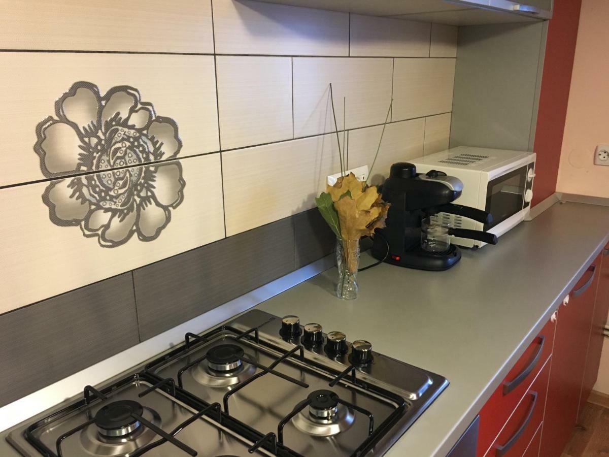 Apartament Antonia Lejlighed Tîrgu Ocna Eksteriør billede